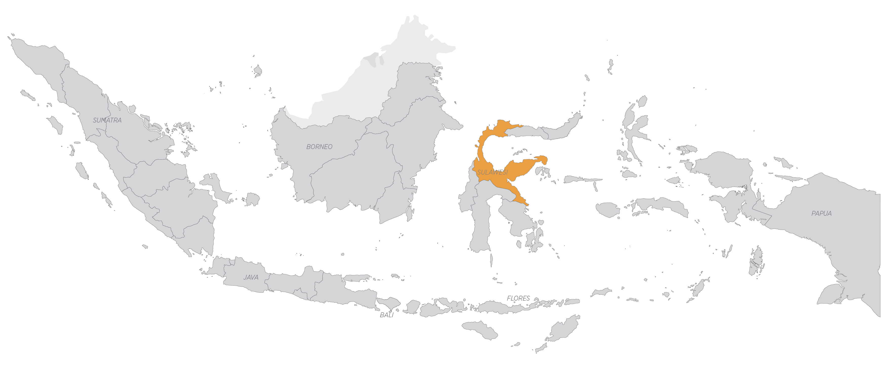 Cloves Indonesian Cloves Spice Tripper