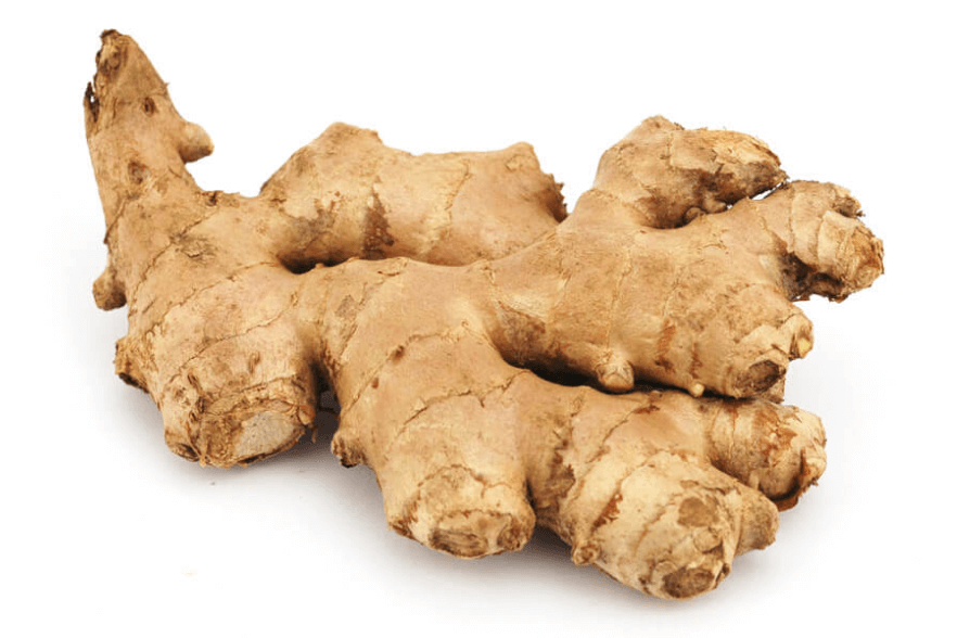 Tripper Ginger Image